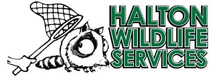 Halton Wildlife Services Logo